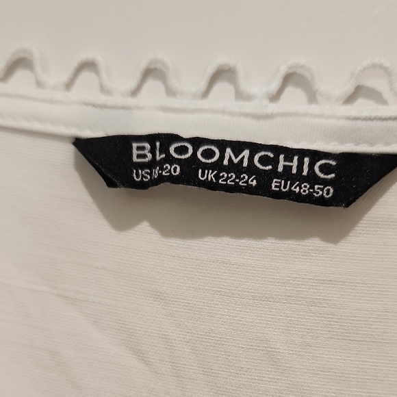 NWOT White Pleated V-Neck Top With Flutter Sleeves 2x - Picture 3 of 4